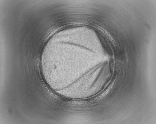 X0000115370985200912011130