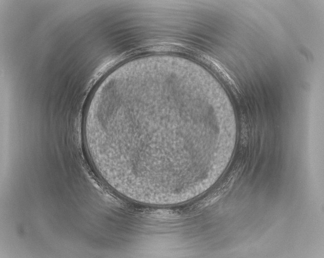 X0000115370986200912011130