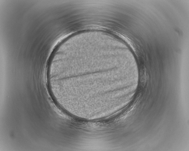 X0000115370987200912011130
