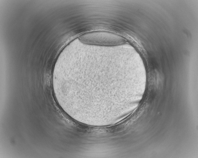 X0000115370993200912011130