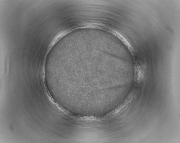 X0000115370994200912011130