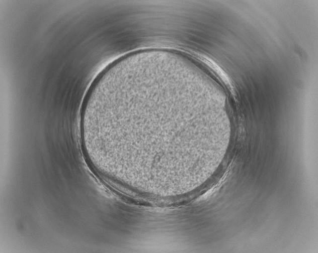 X0000115370996200912011130