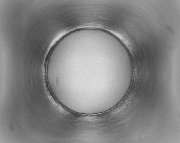 X0000115370998200912011130