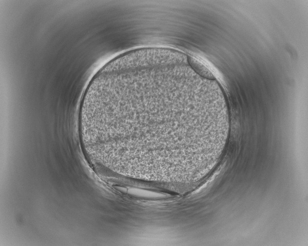 X0000115371004200912011129
