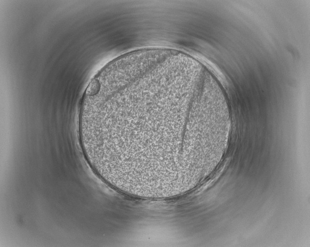 X0000115371006200912011129