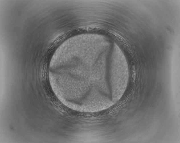 X0000115371014200912011129