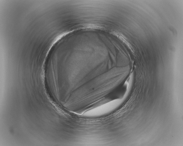 X0000115371024200912011129