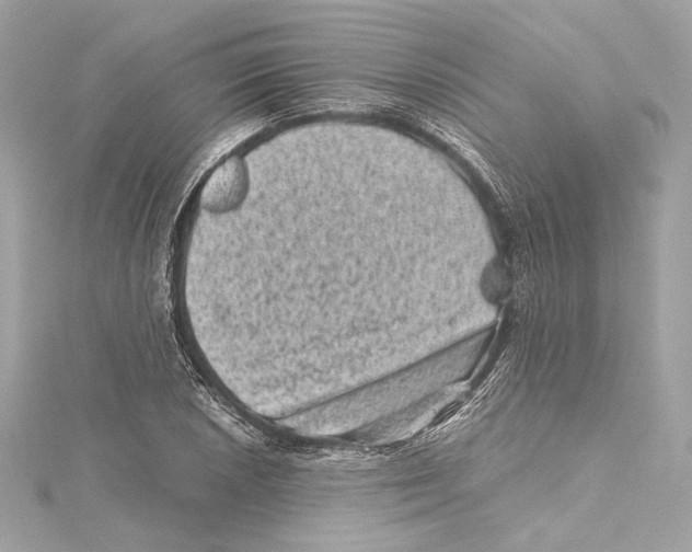 X0000115371026200912011129
