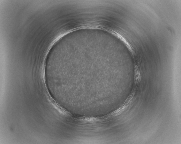 X0000115371035200912011129