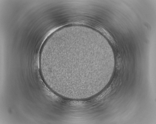 X0000115371036200912011129