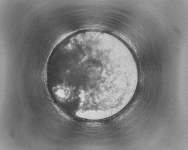 X0000115371037200912011129