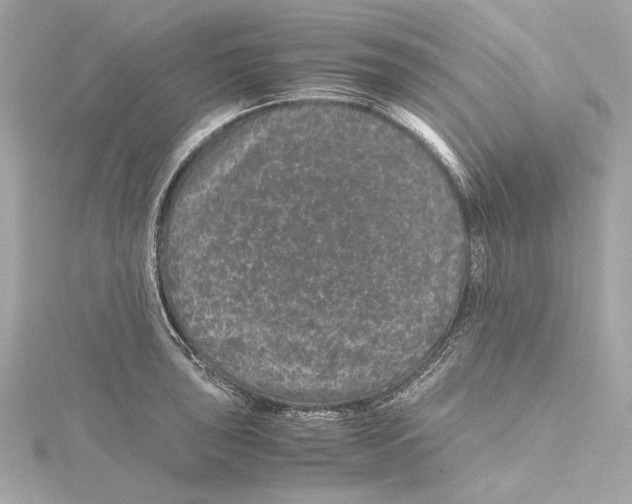 X0000115371043200912011129