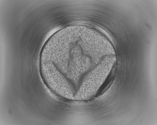 X0000115371050200912011129