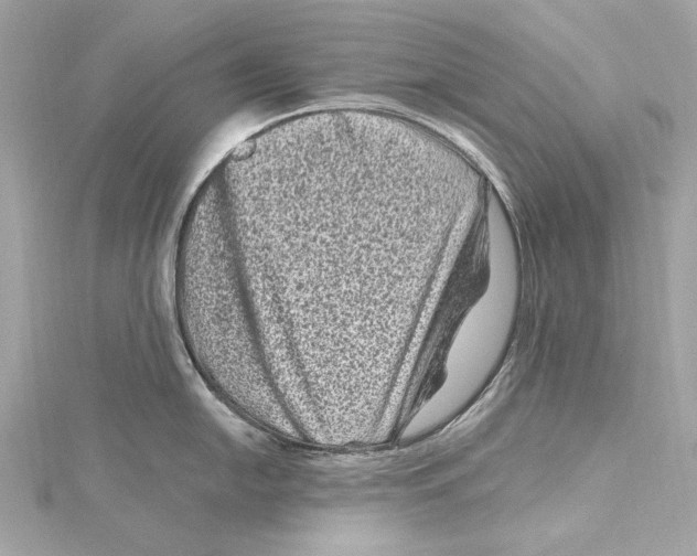 X0000115371054200912011129