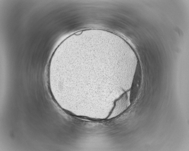 X0000115371056200912011129