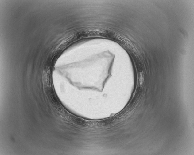 X0000115371059200912011129
