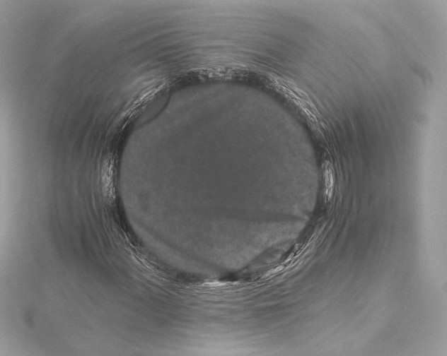 X0000115371060200912011129