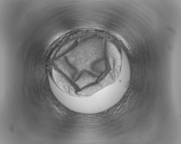 X0000115371064200912011129