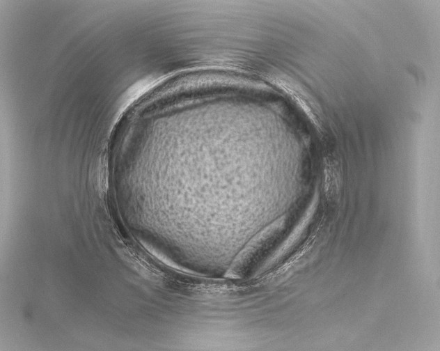 X0000115371069200912011129