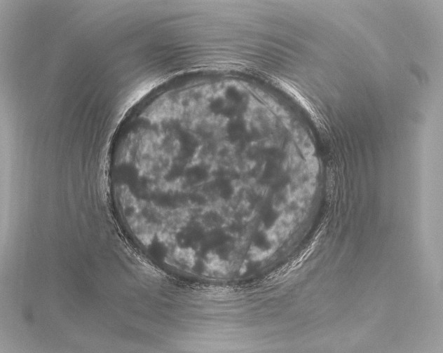 X0000115371071200912011129