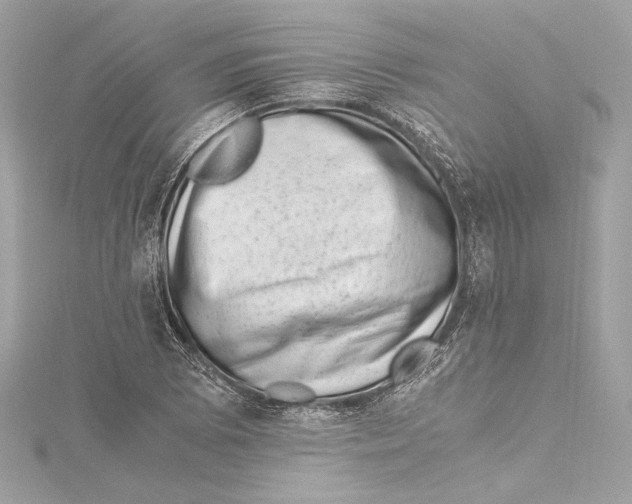 X0000115371073200912011129