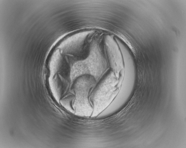 X0000115371076200912011129