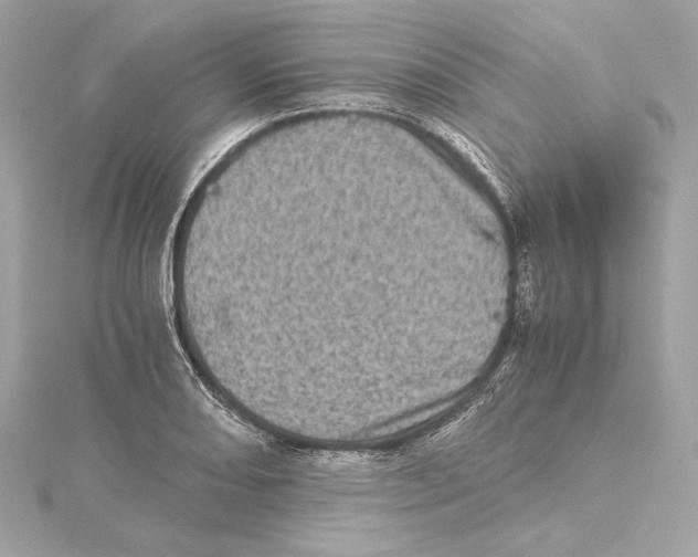 X0000115371082200912011128