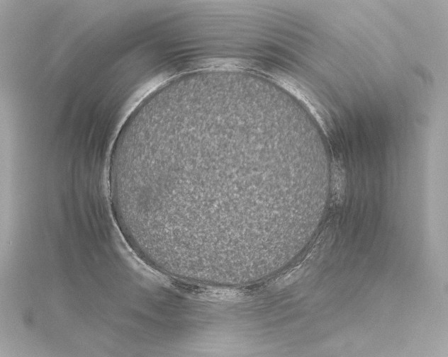 X0000115371090200912011128