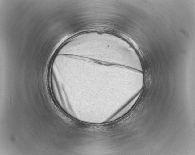 X0000115371091200912011128