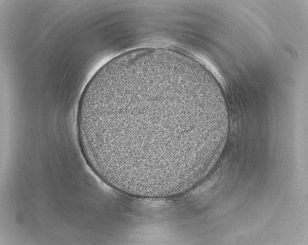 X0000115371103200912011128
