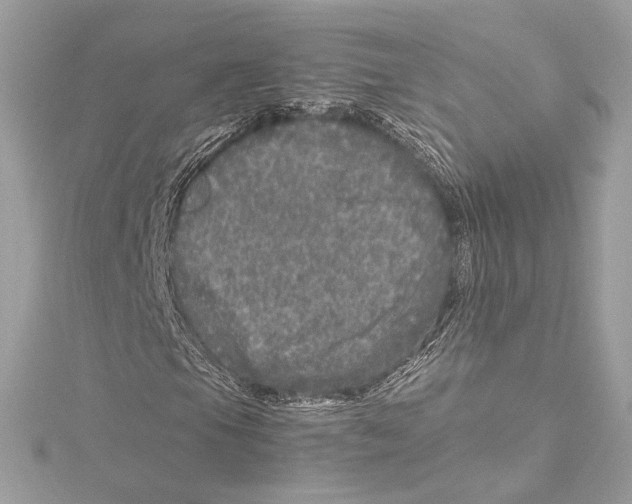 X0000115371105200912011128