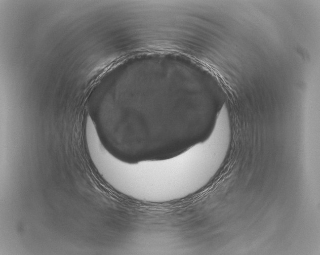 X0000115371110200912011128