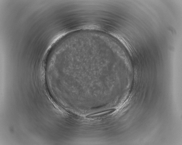 X0000115371115200912011128