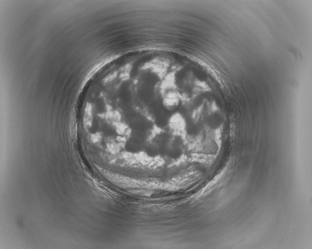 X0000115371117200912011128