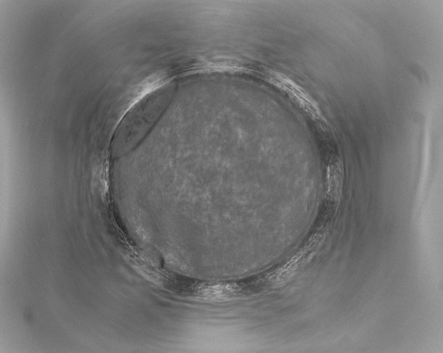 X0000115371165200912011127