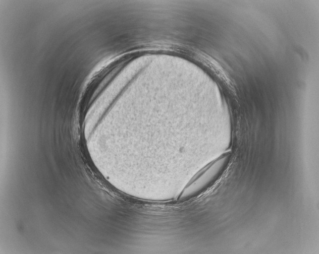 X0000115371172200912011127