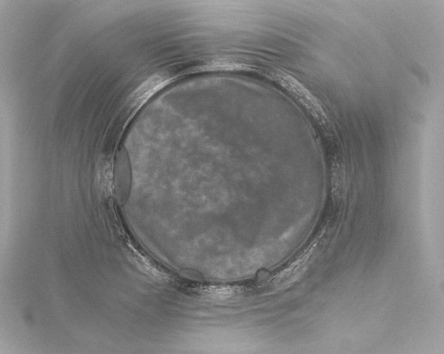 X0000115371177200912011127