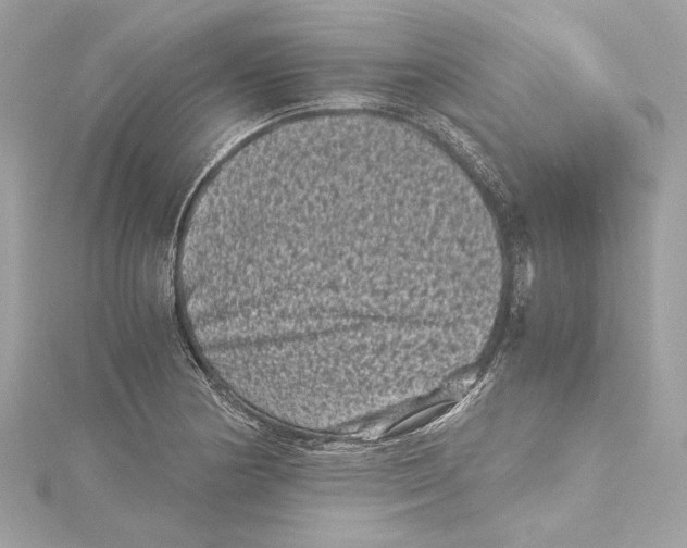 X0000115371178200912011127