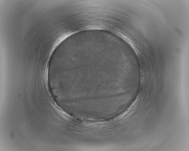 X0000115371179200912011127