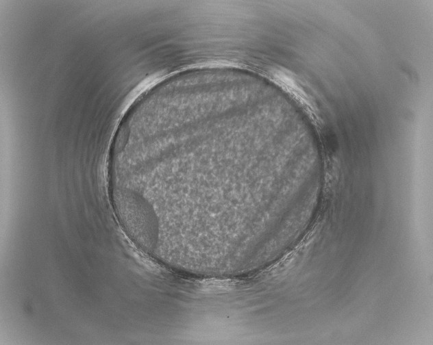 X0000115371181200912011127