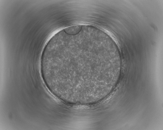 X0000115371187200912011127