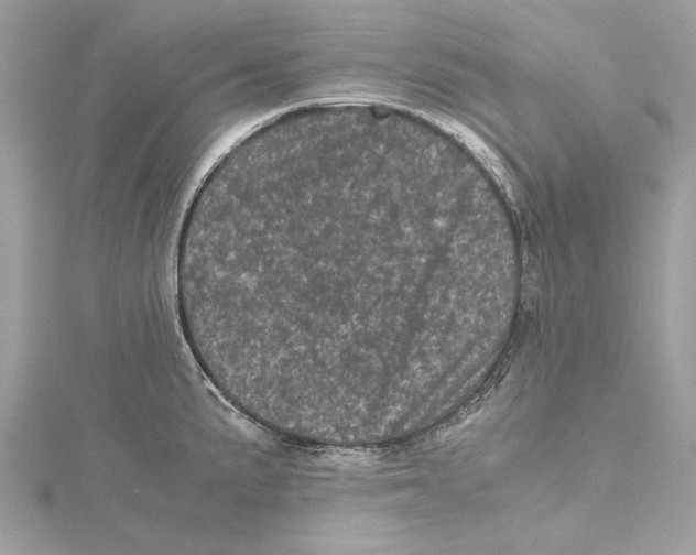 X0000115371191200912011127