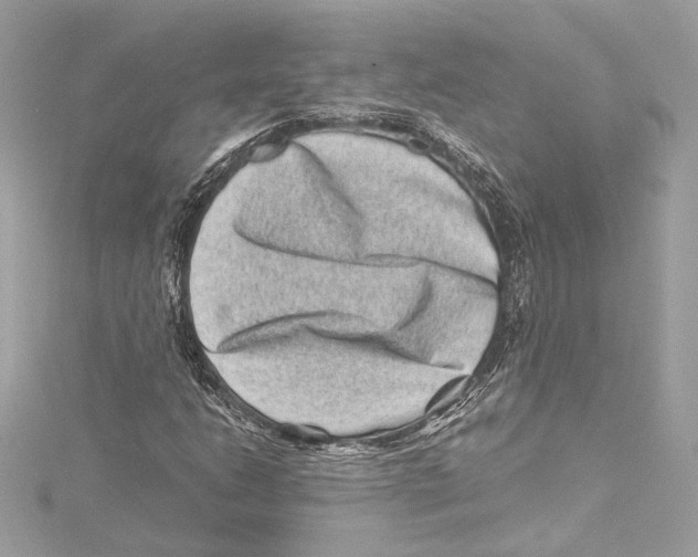 X0000115371206200912011126