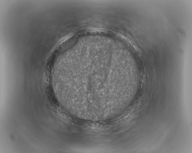 X0000115371207200912011126