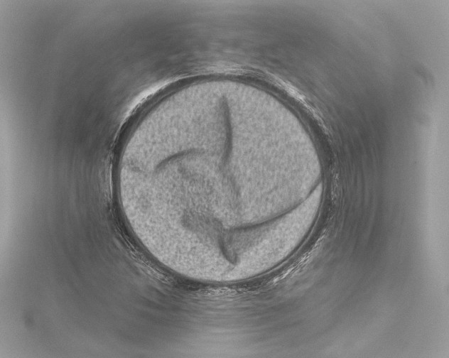 X0000115371214200912011126