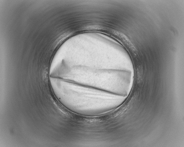 X0000115371225200912011127