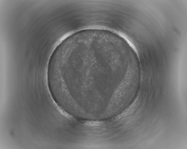 X0000115371237200912011127
