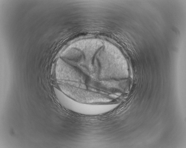 X0000115371249200912011126