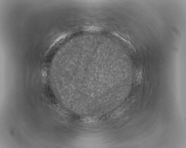 X0000115371254200912011126