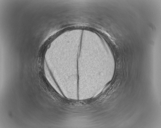 X0000115371255200912011126